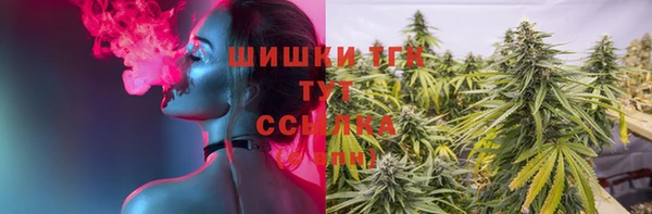 винт Аркадак
