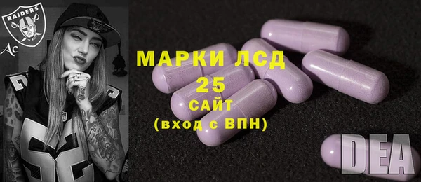 винт Аркадак