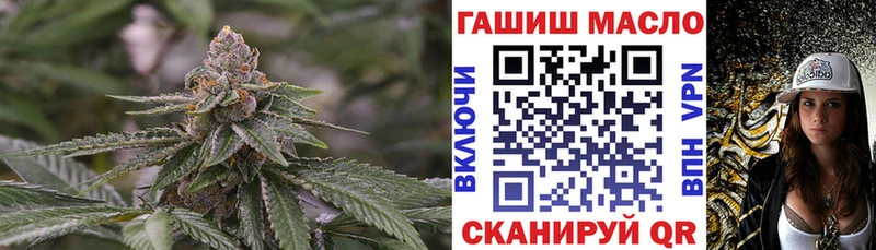 Купить где Опочка ТГК гашишное масло