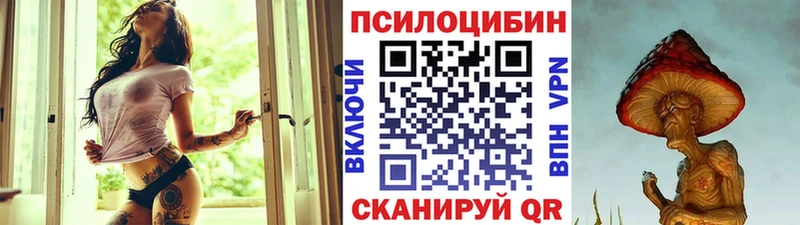 Псилоцибиновые грибы Psilocybine cubensis Купить где Опочка